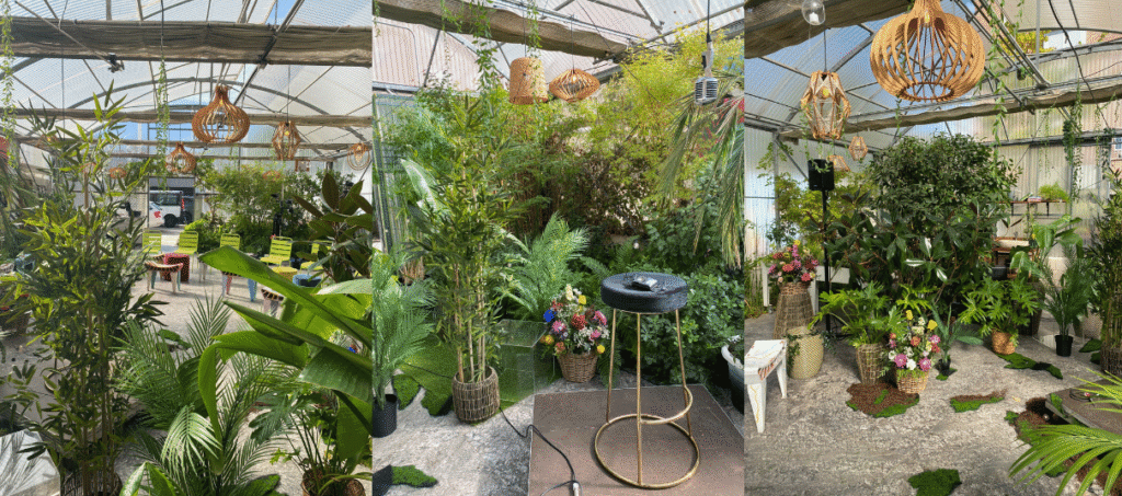 rodaje videoclip invernadero begonia´s garden